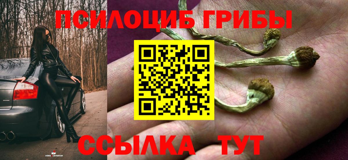 Десногорск  Псилоцибиновые грибы прущие грибы  Вход с VPN  Галлюциногенные грибы мицелий 